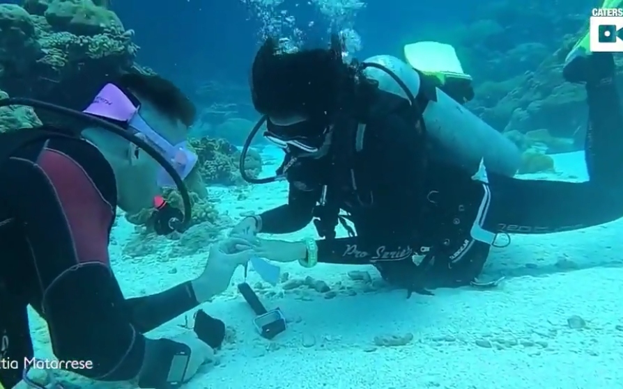 Video: Cặp đôi mạo hiểm đính hôn khi lặn dưới đáy biển, ở độ sâu 10m